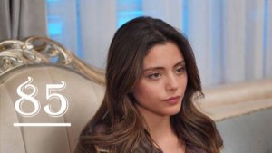 Клюквенный щербет 85 серия почему не вышла?