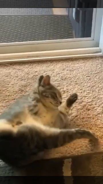 спагеттификация смотреть онлайн