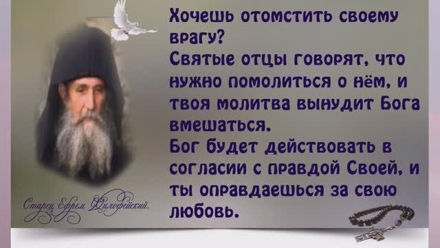 Всякий человек познается по плоду своему. Каков дитя, таковы и родители.Какое слово, таковы и плоды. смотреть онлайн