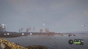 Охота на Птицу в || theHunter: Call of the Wild ||