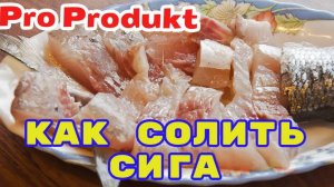 Как солить сига вкусно