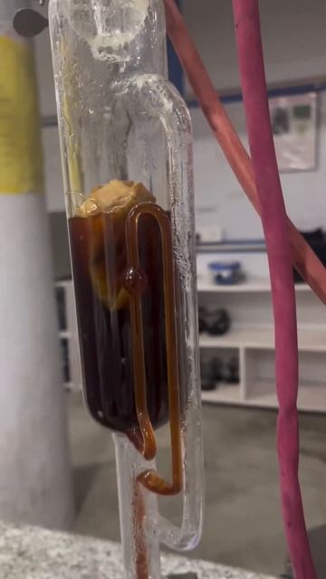 Caffeine #caffeine #extraction #tea #coffee #apparatus #chemistry #reels #shorts #trending #lab
