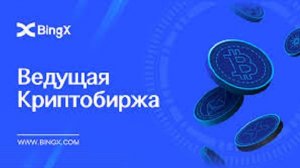 КРИПТОВАЛЮТА BINGX КРИПТОВАЛЮТА / 加密貨幣 BINGX 貿易 / CRYPTOCURRENCY BINGX CRYPTOCURRENCY