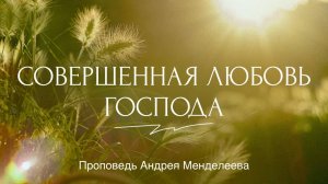 Совершенная любовь Господа / 26.01.2025 // Санкт-Петербургская церковь Христа