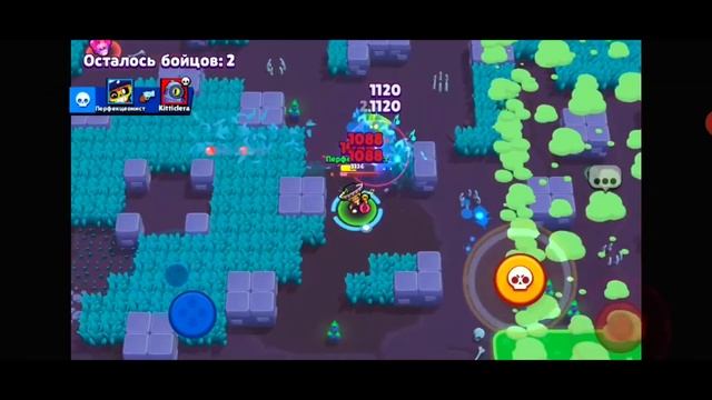ПЕРФЕКЦИОНИСТ ● Апнул Поко На 500 Кубков, Открыл Путь к Славе [BRAWL STARS]