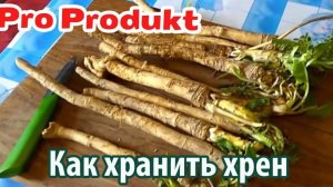 Как хранить хрен