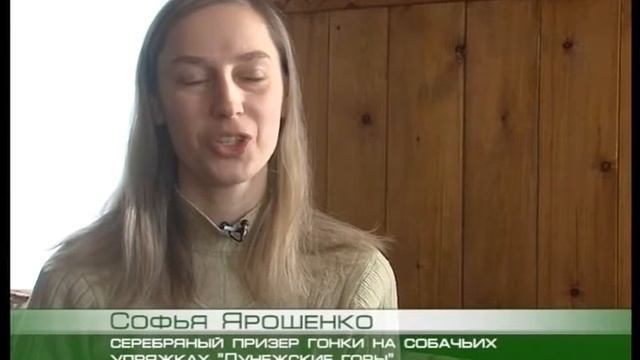 Легко ли проехать 10 километров в собачьей упряжке и стать чемпионом? смотреть онлайн