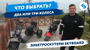 ДВУХКОЛЕСНЫЙ или ТРЕХКОЛЕСНЫЙ CITYCOCO? Как выбрать электроскутер? Электробайк, где citycoco купить?