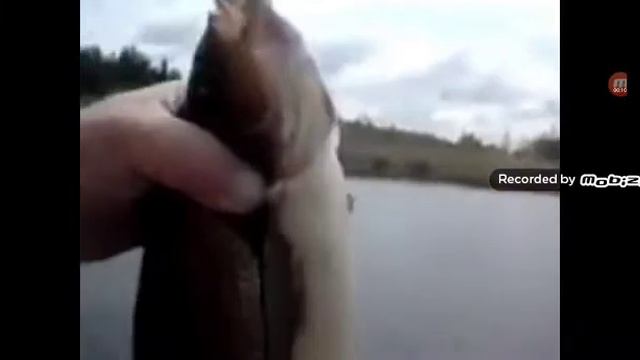 мем про язь оригинал чем meme смотреть онлайн