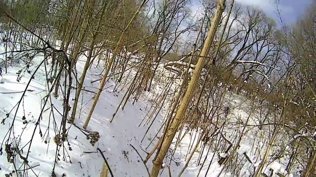 Ледоруб VS Борщевик! смотреть онлайн