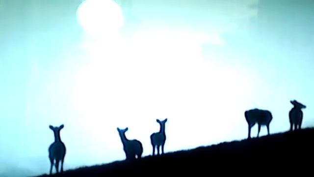 Что будет если люди исчезнут? смотреть онлайн