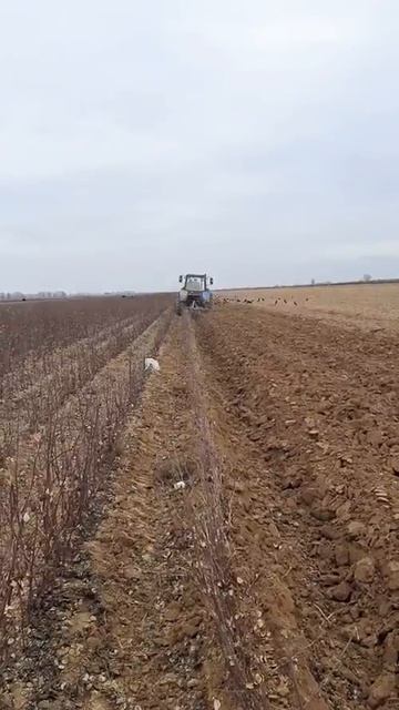 Мтз.952.2 × Қошқарбой смотреть онлайн