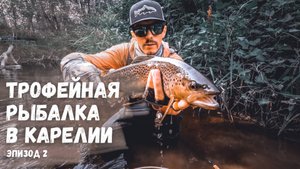 ТРОФЕЙНАЯ РЫБАЛКА В КАРЕЛИИ. Огромная форель на спиннинг на лесной речке. Лучший воблер на форель!