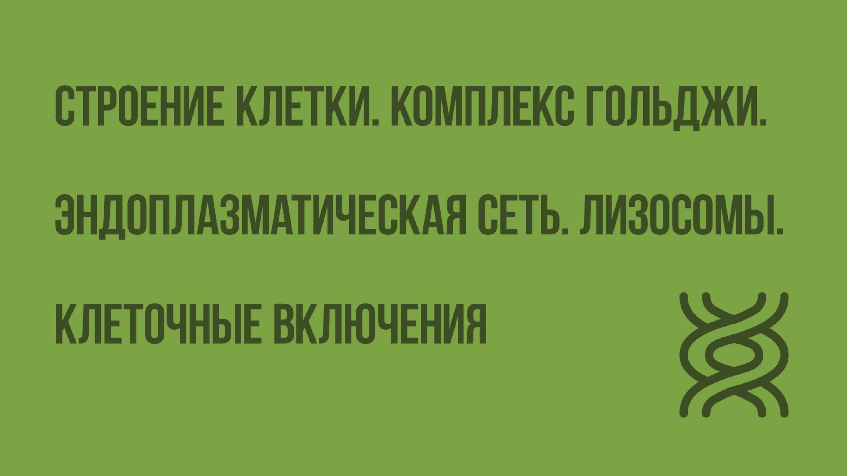 Строение клетки. Комплекс Гольджи. Эндоплазматическая сеть. Лизосомы. Клеточные включения. Видеоурок