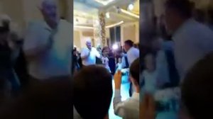 Шахбача туйя кафонд