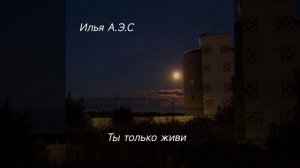 Ты только живи