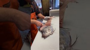 How to fillet a John Dory.