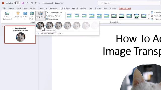 Microsoft PowerPoint: How To Adjust The Transparency Of An Image In PowerPoint | 365 | смотреть онлайн