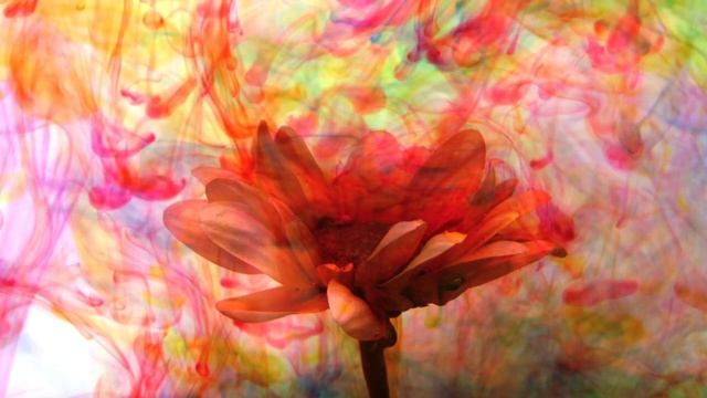 Theta Waves and 528Hz | Binaural Beat for Emotonal Balance смотреть онлайн