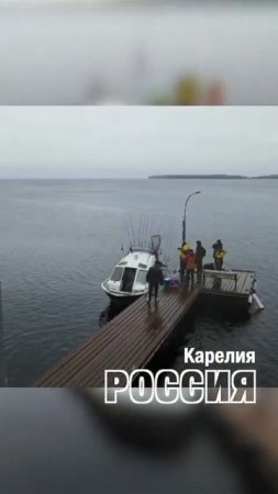 Природа Русского Севера #shotrs