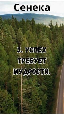 Мудрость философов  Мысли великих умов