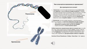 Видео 📹 Папиллома против Хромасома