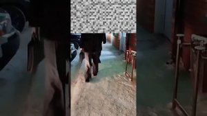 Дружинники Русской Общины взбодрили наглого предпринимателя "с крышей".