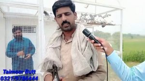 ustad ameer mukhtayar khan