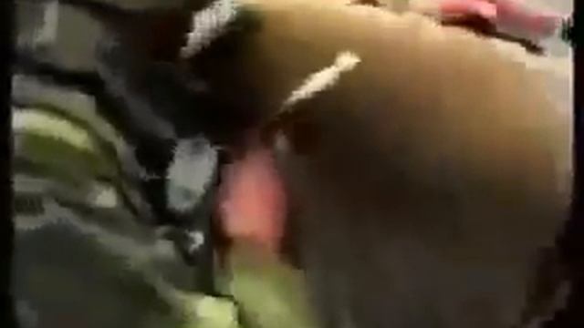 !!! Message about FEMA Camps,FEMA COFFINS,CREMATORIES & Martial Law(6/19/09 )Be Ready ) смотреть онлайн