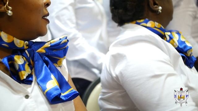 Sigma Gamma Rho Sorority, Inc. Lambda Sigma Sigma Chapter Spotlight смотреть онлайн