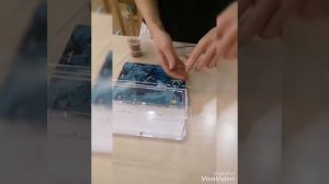 Как собрать муравьиную ферму