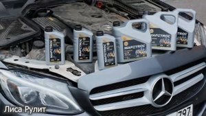 Mapetrol отзывы известных блогеров