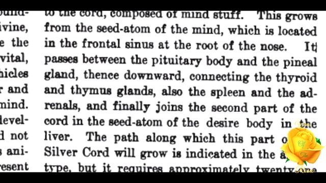 The Silver Cord By Mrs. Verna Wilson смотреть онлайн