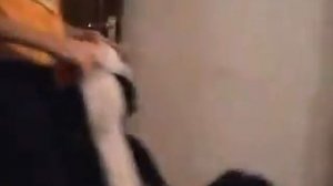 Издевательство над котом!!!!