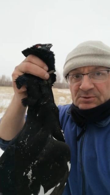 VID 20211120 104807 смотреть онлайн