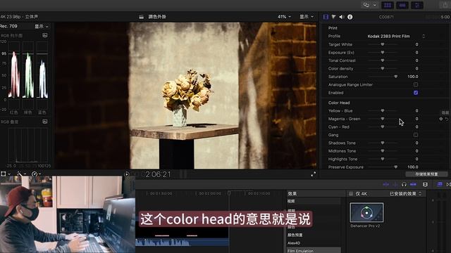 Dehancer 膠片電影感 ! Final Cut Pro Plug-In Review & Tutorial 新手調色教程 смотреть онлайн