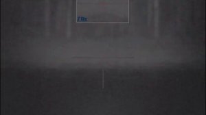 Pulsar Digisight Ultra N355 Бобр 150м