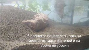 Запуск креветочника