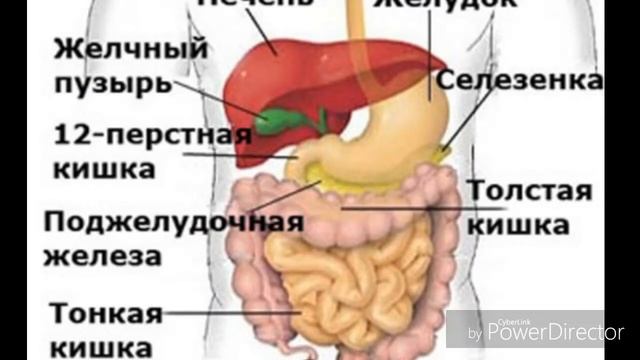 Qora choyning foyda va zarari haqida HD смотреть онлайн