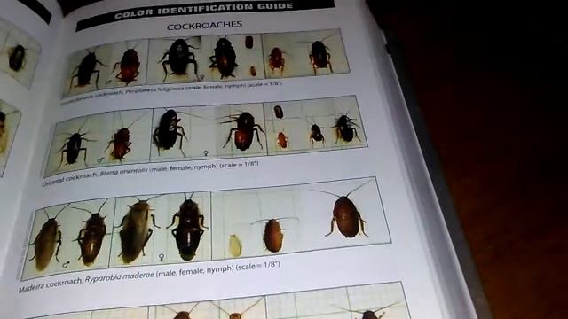 Handbook of Pest Control/ Mallis, Tenth edition.