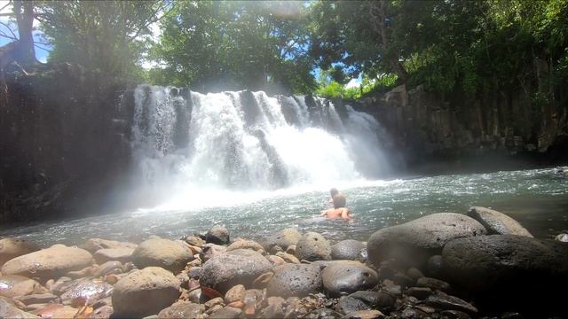 о.Маврикий Поездка на водопад_ 4 серия. (28.02.2024)