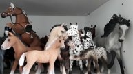 Много лошадей(Come)