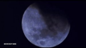 Michael Jackson vs David: Epic Werewolf Attack!