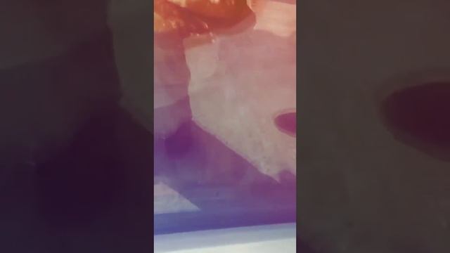 Семейдегі самса сататын дүкенде тышқан өріп жүр смотреть онлайн