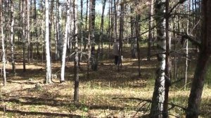 дед, ты далеко не убегай!