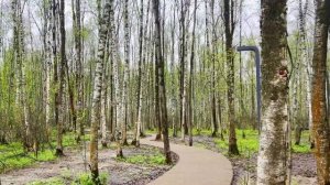 Дорогая, придется продать твою вторую квартиру. Моему брату надо закрыть кредиты.