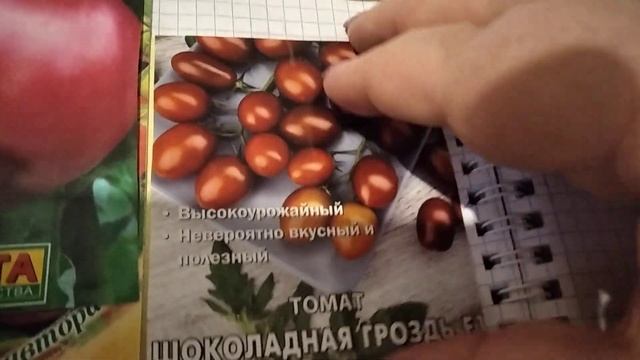 обзор семян томатов на 2024 год