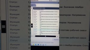 BMW X3 N20B20 нестабильная работа при прогреве. Показания лямбда-зондов, суммирующей коррекции.