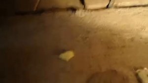 Создание раллийного автомобиля на базе ВАЗ 2110. Первые изменения.