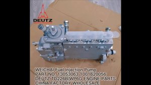 WEICHAI TD226B Engine Fuel Injection Pump 13053063 1001620056 4110000991002 W010251940 SP126330